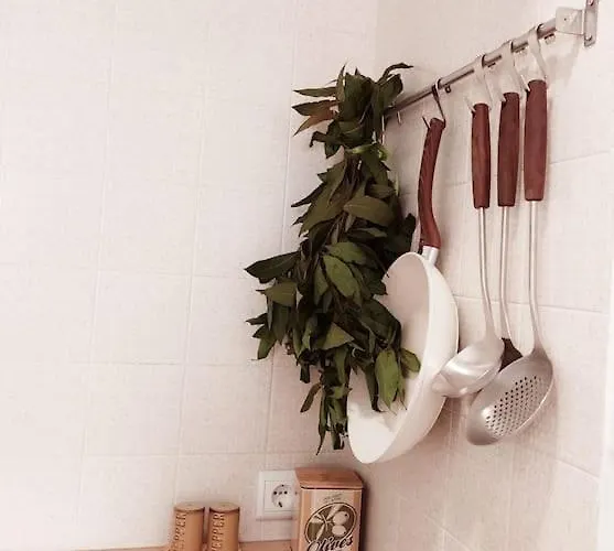 The Bird House Apartment