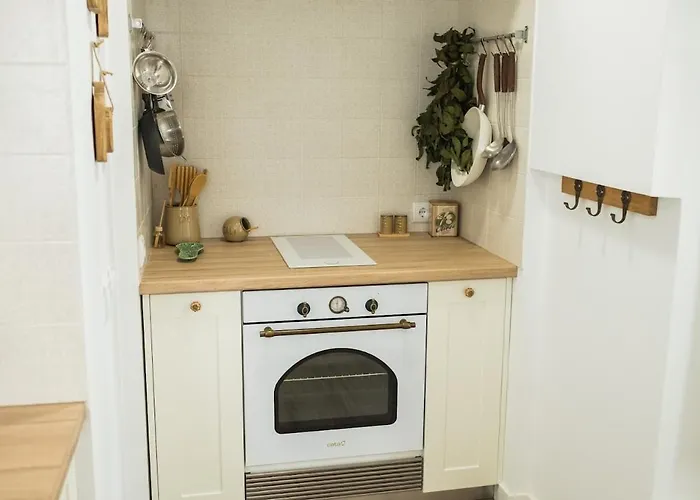 Appartement The Bird House Nazaré